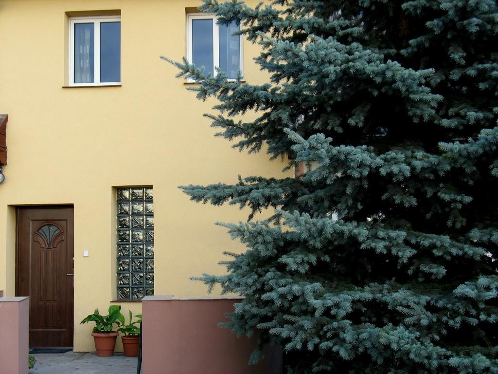 Apartamenty Stajni Jazon Malbork Eksteriør bilde